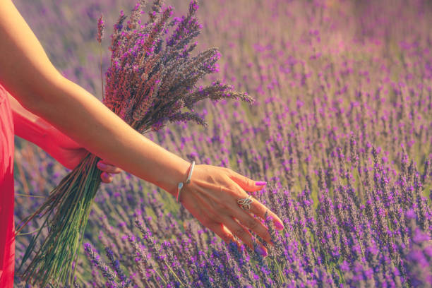 istock Hand with purple manicure softly touching lavender flowers 1275610819
