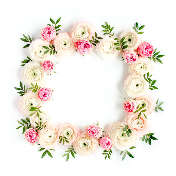istock Floral pattern frame made of pink ranunculus and roses flower buds on white background. Flat lay, top view floral background 1275633795