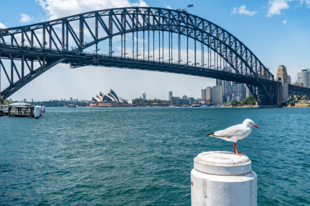 시드니 하버 브리지 인 시드니, 뉴사우스웨일즈, 호주 - sydney australia the rocks australia architectural styles 뉴스 사진 이미지