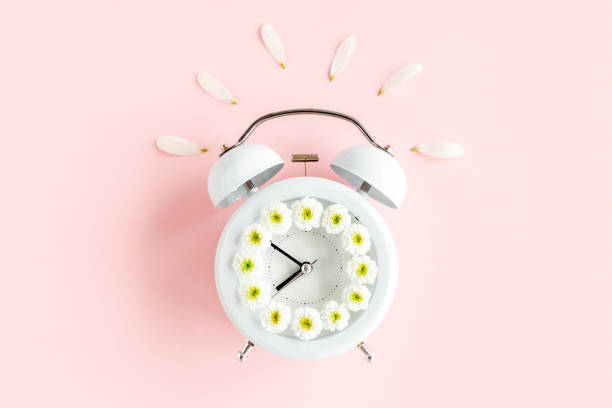 istock Composition-summer time from clock and chamomile flowers on pink background. Flat lay, top view 1275652468