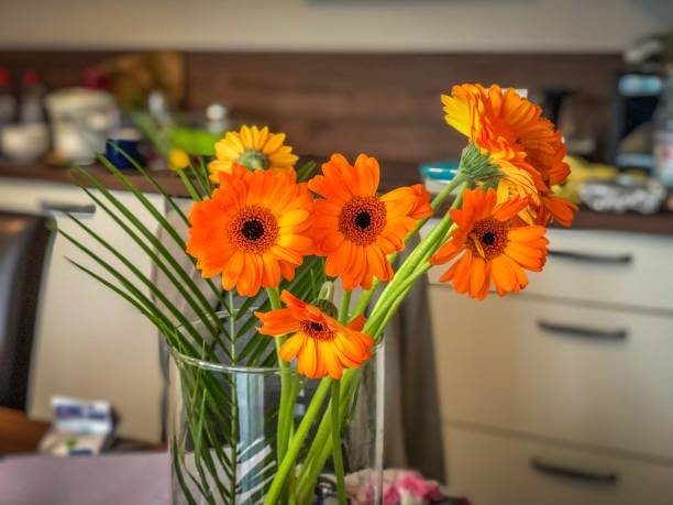 istock View on wonderful red yellow flowers 1275653295