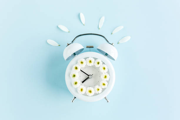 istock Composition-summer time from clock and chamomile flowers on blue background. Flat lay, top view 1275672106