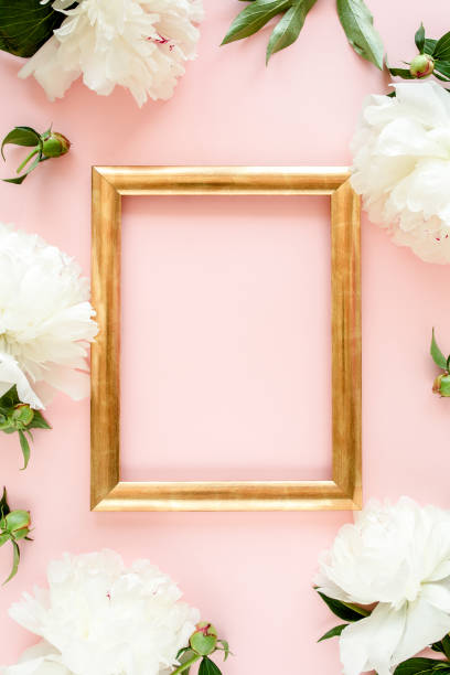istock Frame of white peony flowers with space for text on pink background. Peony texture. Flat lay, top view 1275675765