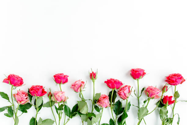 istock Flower border frame made of red roses on white background with copy space for text. Valentine's background. Floral pattern. Flat lay, top view 1275675829