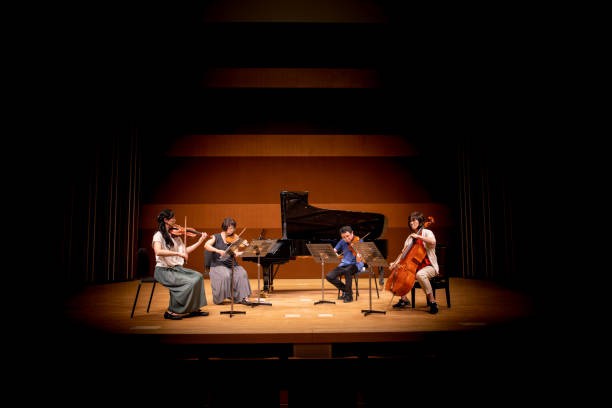 músico tocando instrumentos en concierto clásico - violinist violin classical music classical concert fotografías e imágenes de stock