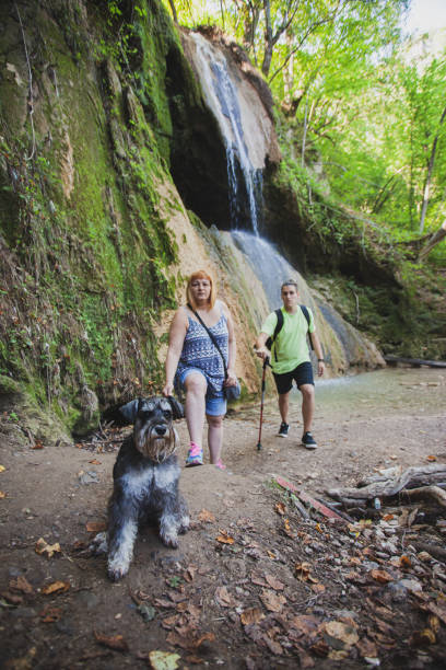 istock Exploring the mountains waterfall and enjoying in nature 1275678531