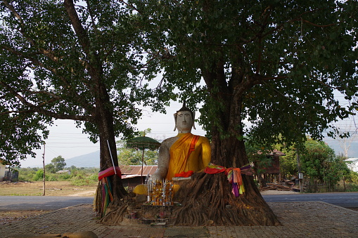 Buddha statue in Champasak