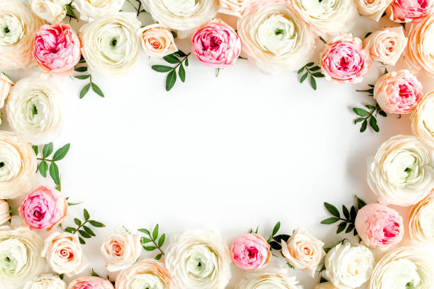 istock Floral pattern frame made of pink ranunculus and roses flower buds on white background. Flat lay, top view floral background 1275681991