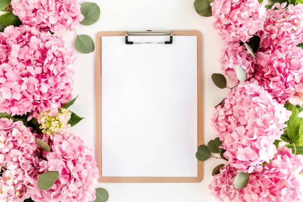 istock Carved, white frame decorated of pink hydrangea flowers on white background. Floral concept. Flat lay, top view 1275682072