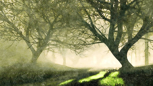 Watercolor landscape of dark mystical night forest Decorative watercolor landscape of dark mystical forest with sun rays shining through creepy dead tree silhouettes at foggy dusk or night. Decorative digital art painting from my 3D rendering file. wet wood texture stock illustrations