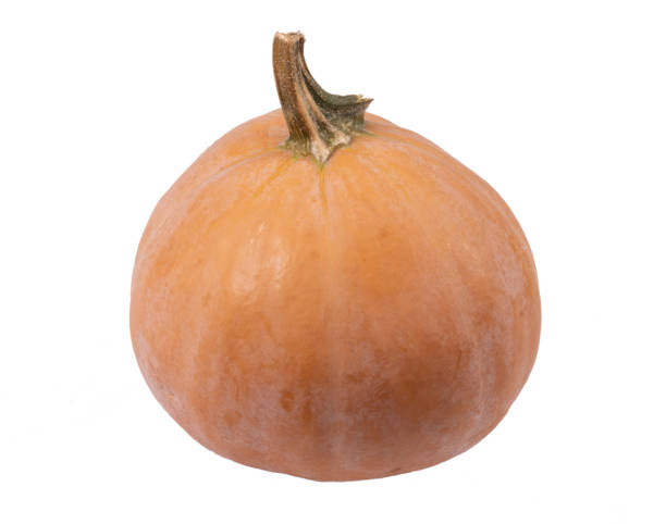 istock whole butterkin squash isolated over white background 1275688218