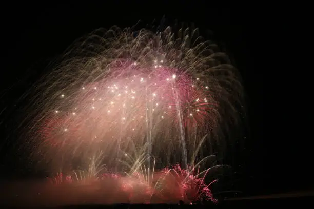 Photo of 2019 Nagaoka Fireworks Festival