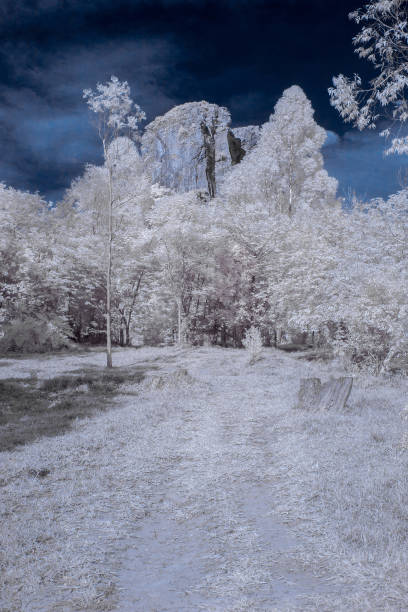 cuscuzeiro mount in analandia - sao paulo - brazil in infrared ir 720nm - climbing rock climbing rock mountain climbing imagens e fotografias de stock