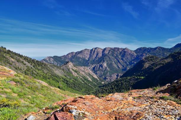 istock Lake Blanche forest and mountain landscape views from trail. Wasatch Front Rocky Mountains, Twin Peaks Wilderness,  Wasatch National Forest in Big Cottonwood Canyon in Salt Lake County Utah. United States. 1275704705