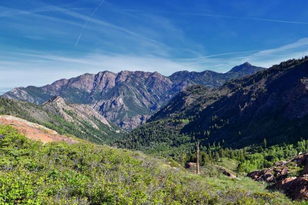 istock Lake Blanche forest and mountain landscape views from trail. Wasatch Front Rocky Mountains, Twin Peaks Wilderness,  Wasatch National Forest in Big Cottonwood Canyon in Salt Lake County Utah. United States. 1275707353