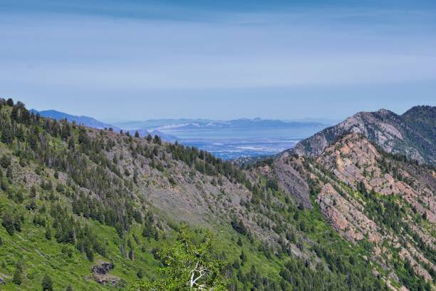 istock Lake Blanche forest and mountain landscape views from trail. Wasatch Front Rocky Mountains, Twin Peaks Wilderness,  Wasatch National Forest in Big Cottonwood Canyon in Salt Lake County Utah. United States. 1275707407