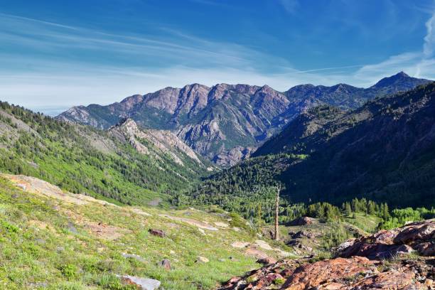 istock Lake Blanche forest and mountain landscape views from trail. Wasatch Front Rocky Mountains, Twin Peaks Wilderness,  Wasatch National Forest in Big Cottonwood Canyon in Salt Lake County Utah. United States. 1275708497