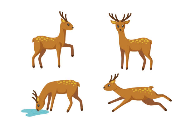 ilustraciones, imágenes clip art, dibujos animados e iconos de stock de conjunto de ciervos para patrones y diseños. ilustración vectorial - animal cute animals deer deer herd