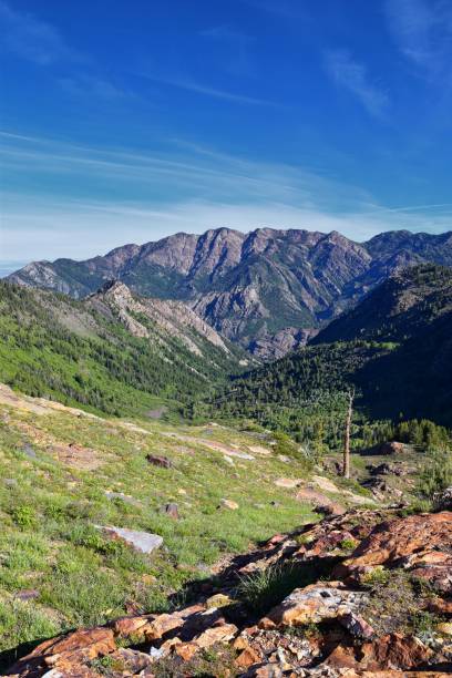 istock Lake Blanche forest and mountain landscape views from trail. Wasatch Front Rocky Mountains, Twin Peaks Wilderness,  Wasatch National Forest in Big Cottonwood Canyon in Salt Lake County Utah. United States. 1275708553