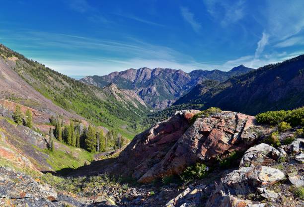 istock Lake Blanche forest and mountain landscape views from trail. Wasatch Front Rocky Mountains, Twin Peaks Wilderness,  Wasatch National Forest in Big Cottonwood Canyon in Salt Lake County Utah. United States. 1275708773
