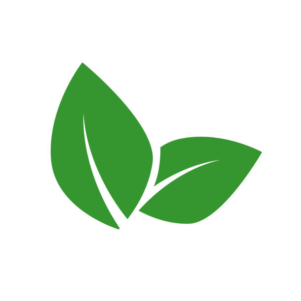 koncepcja wegańskiej etykiety wektorowej żywności. zielony liść wyizolowany na białym bacground. - sustainability stock illustrations