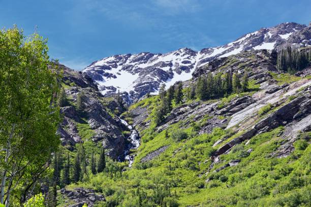 Lake Blanche forest and mountain landscape views from trail. Wasatch Front Rocky Mountains, Twin Peaks Wilderness,  Wasatch National Forest in Big Cottonwood Canyon in Salt Lake County Utah. United States.