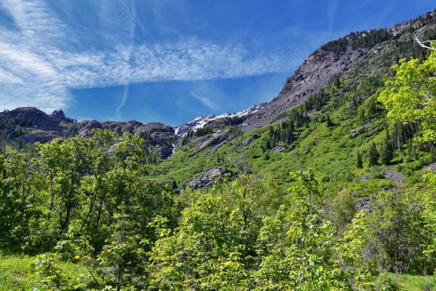 istock Lake Blanche forest and mountain landscape views from trail. Wasatch Front Rocky Mountains, Twin Peaks Wilderness,  Wasatch National Forest in Big Cottonwood Canyon in Salt Lake County Utah. United States. 1275710813