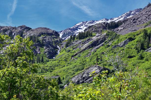 istock Lake Blanche forest and mountain landscape views from trail. Wasatch Front Rocky Mountains, Twin Peaks Wilderness,  Wasatch National Forest in Big Cottonwood Canyon in Salt Lake County Utah. United States. 1275710814