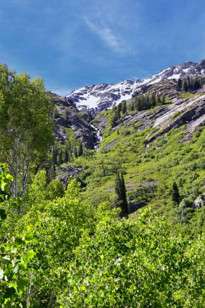 istock Lake Blanche forest and mountain landscape views from trail. Wasatch Front Rocky Mountains, Twin Peaks Wilderness,  Wasatch National Forest in Big Cottonwood Canyon in Salt Lake County Utah. United States. 1275711420