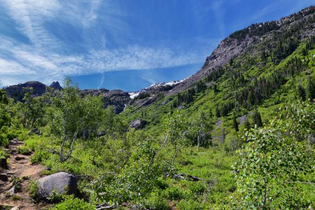 istock Lake Blanche forest and mountain landscape views from trail. Wasatch Front Rocky Mountains, Twin Peaks Wilderness,  Wasatch National Forest in Big Cottonwood Canyon in Salt Lake County Utah. United States. 1275712715