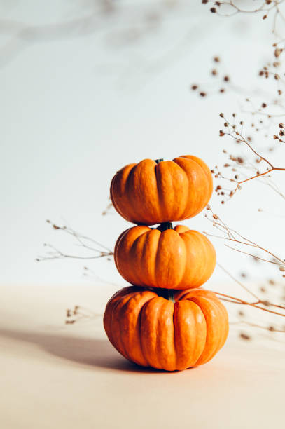 istock Tine orange Pumpkins. Autumn concept 1275723601