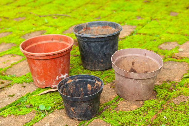 istock Colored empty flowers pot for gardening - mud dirt used 1275723605