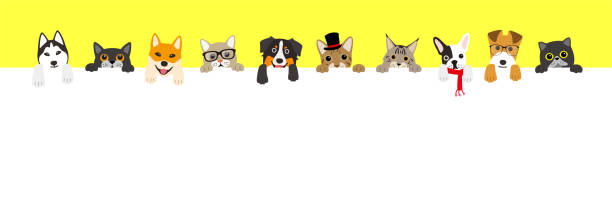The cute cats and dogs lining up The cats and the dogs lining up, watching you. puppy stock illustrations