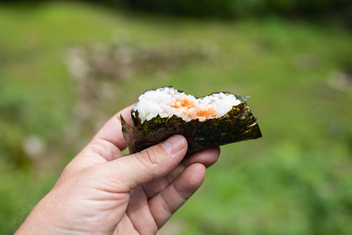 Nigiri Sushi-Squid Nigiri
