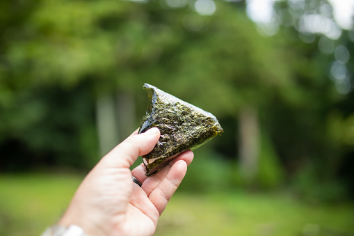 A very popular Japanese snack known as Onigiri or rice ball. This one has mentaiko or Pollock roe inside and wrapped in seaweed.