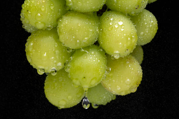 Fresh muscat on a simple background. Close-up.