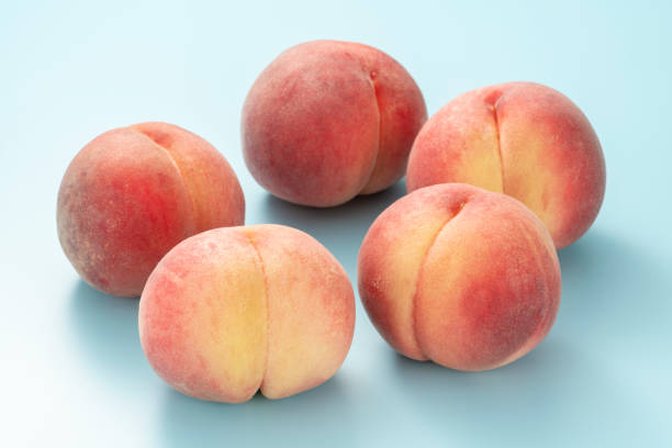 istock Peach on a light blue background. Summer fruits. 1275744933