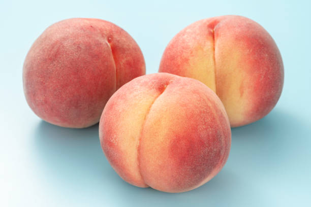 istock Peach on a light blue background. Summer fruits. 1275744936