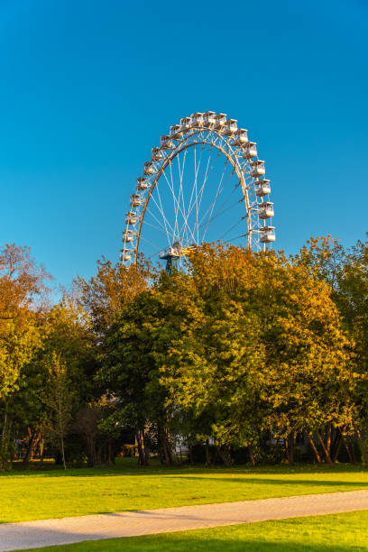 Ferris wheel in the park in backlighting at sunset