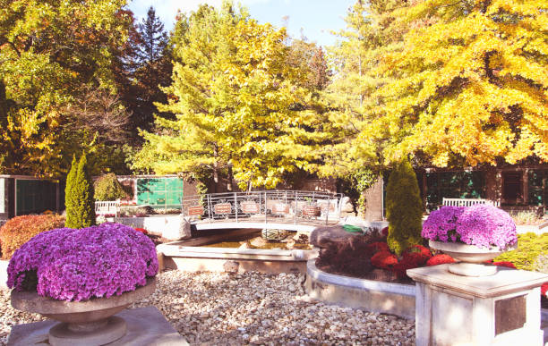 istock Flower Pots and Trees in Autumn 1275765974