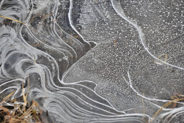 Close-up of delicate icicles hanging from dry grass among wet stones. Captures the fragile beauty of nature in freezing weather