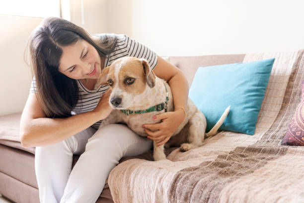 istock Young woman with her adopted animal 1275768156
