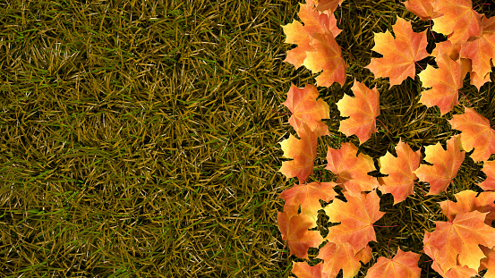 Autumn leaves on grass background