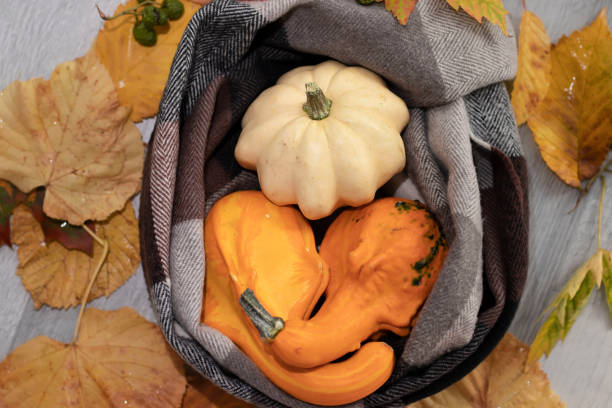 istock Yellow pumpkin in a scarf. 1275772124