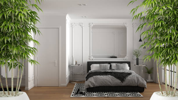 Zen interior with potted bamboo plant, natural interior design concept, minimalist luxury bedroom with carpets, double bed and window, carpet, luxury classic architecture concept idea Zen interior with potted bamboo plant, natural interior design concept, minimalist luxury bedroom with carpets, double bed and window, carpet, luxury classic architecture concept idea feng shui photos stock pictures, royalty-free photos & images