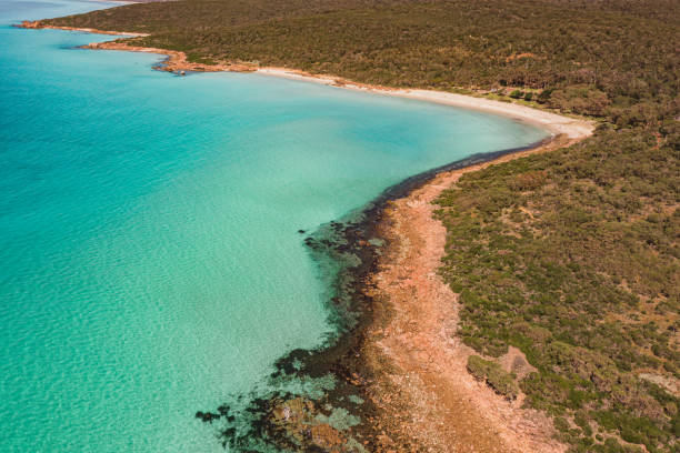 istock Vibrant Meelup Beach, Australia 1275775315