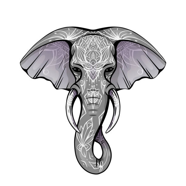 Contour Color Native Elephant Head With Trunk Tusks And Boho Ornaments  Ganesha Head With Decoration Vector Drawing Stock Illustration - Download  Image Now - iStock