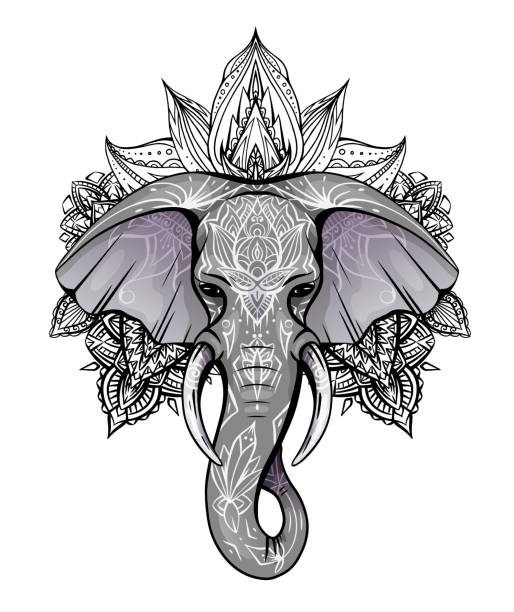 Contour Color Native Elephant Head With Trunk Tusks And Boho Ornaments  Ganesha Head With Mandala Vector Silhouette Stock Illustration - Download  Image Now - iStock