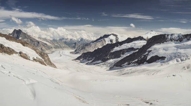 aletsch glacier in summer - switzerland cold green rock imagens e fotografias de stock