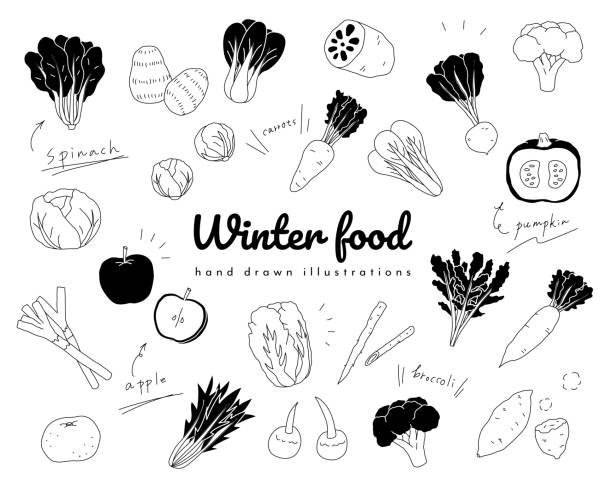 冬の食べ物のシンプルな手描きのイラストのセット - にんじん点のイラスト素材／クリップアート素材／マンガ素材／アイコン素材